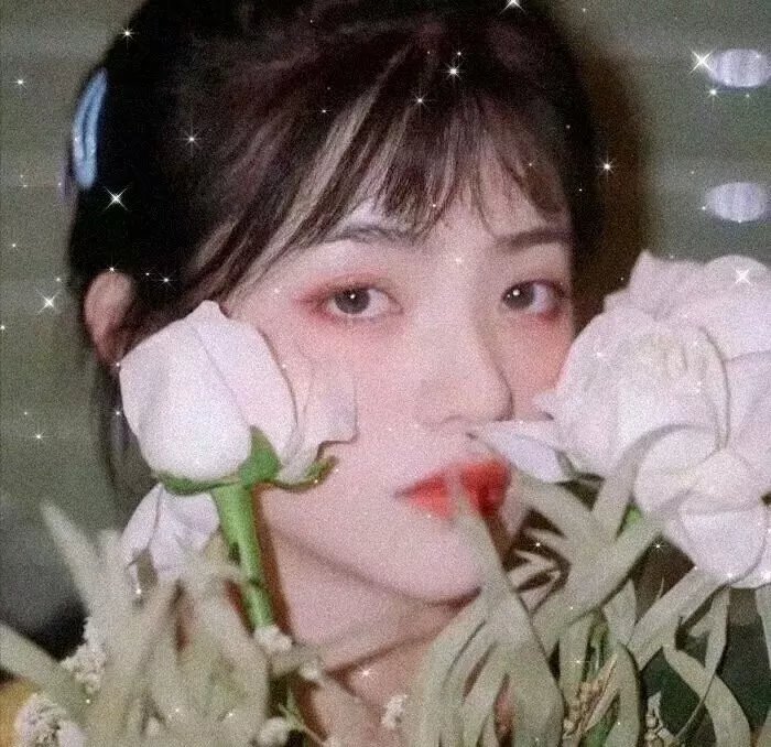 复仇之心